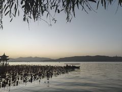 -柳莺湖上·湖景餐厅·江南菜(西湖店)