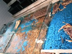 -箸福·夜上海(月牙湖公园店)