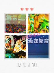 -恐龙探索乐园(磁器口店)