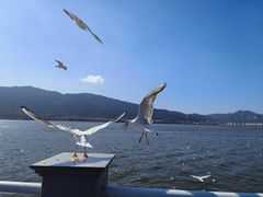 -海埂大坝