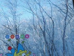 -中旅松花湖滑雪场