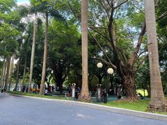 -荔香公园