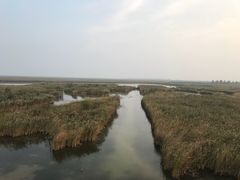 -盐城丹顶鹤湿地生态旅游区