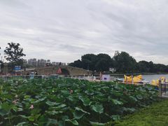 -石湖景区