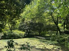 -杭州黄龙洞