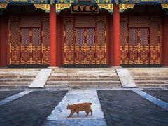 -颐和园