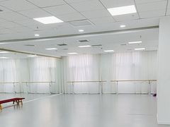 -西安小天鹅艺术团(金花路校区)