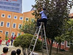 -井德幼儿园(泰达园)