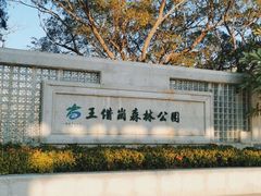 -王借岗森林公园