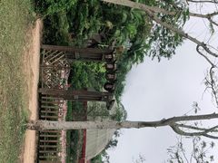 -野象谷景区