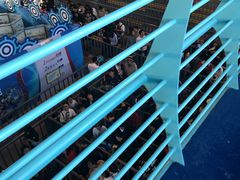 眼镜蛇排队的人-大连海昌发现王国主题公园