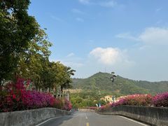 -中旅阿那亚九龙湖·公主酒店