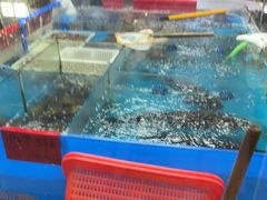 -明本湛江鸡•海鲜小厨(陈家祠店)