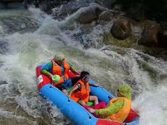 -庆岭迎宾园正宗活鱼馆