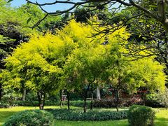 -晓港公园