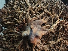 -长沙简牍博物馆