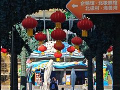 -海合安成都极地海洋公园