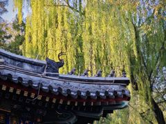 -恭王府博物馆