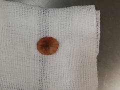 -安安宠物医院(情缘分院)