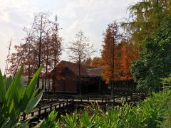 -八卦田遗址公园