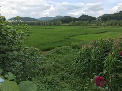 -安顺旧州古镇