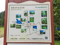 -四明山国家森林公园
