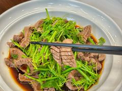 -中国饭店-餐厅