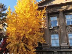 -辽宁大学(崇山校区)