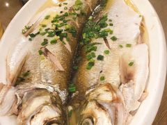 清蒸鲜白鱼-锡和无锡菜(景丽苑店)