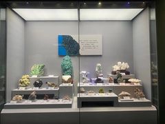 -湖南省地质博物馆