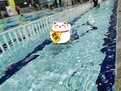 -奇迹健身·恒温游泳(金海首座店)