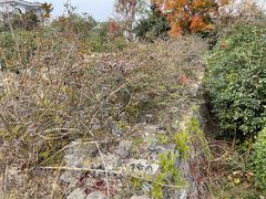 -东关历史文化旅游区-东门遗址