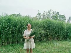 -白鹭湾湿地公园