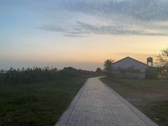 -莲花岛景区