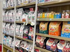 -瑞鹏宠物医院华南总院·夜诊·心脏科·骨科