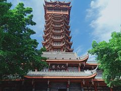 -塔子山公园