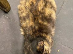 -重庆老火锅王(西安北路店)