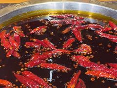 -堂客老火锅(欣阳广场总店)