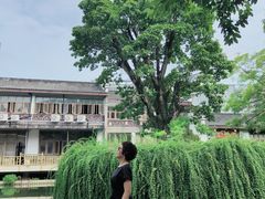 -龙潭水乡