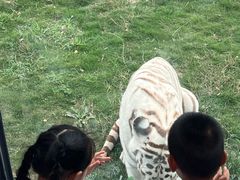 -西霞口神雕山野生动物世界