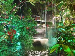 -花溪雨·森林餐厅(石基店)