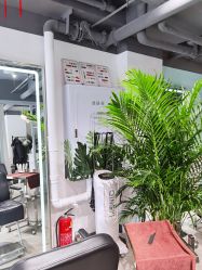 -Will+ Hair Studio