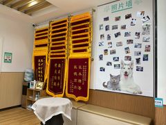 -瑞派中心宠物医院·CT·核磁·神经专科