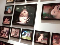 -藦茜花园宠物主题亲子互动体验馆(国顺东路店)