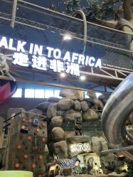 -卡通尼·Safari非洲探索乐园·生日会(金桥国际商业广场店)