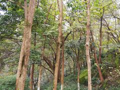 -重庆彩云湖湿地公园