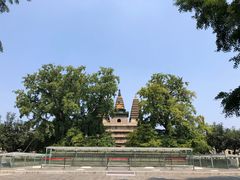-北京石刻艺术博物馆(五塔寺)