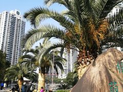 -苏州河梦清园环保主题公园