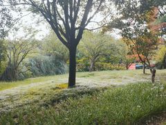 -贵阳市花溪国家城市湿地公园