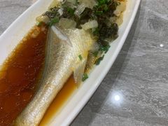-老绍兴养和饭店(向阳不夜城店)